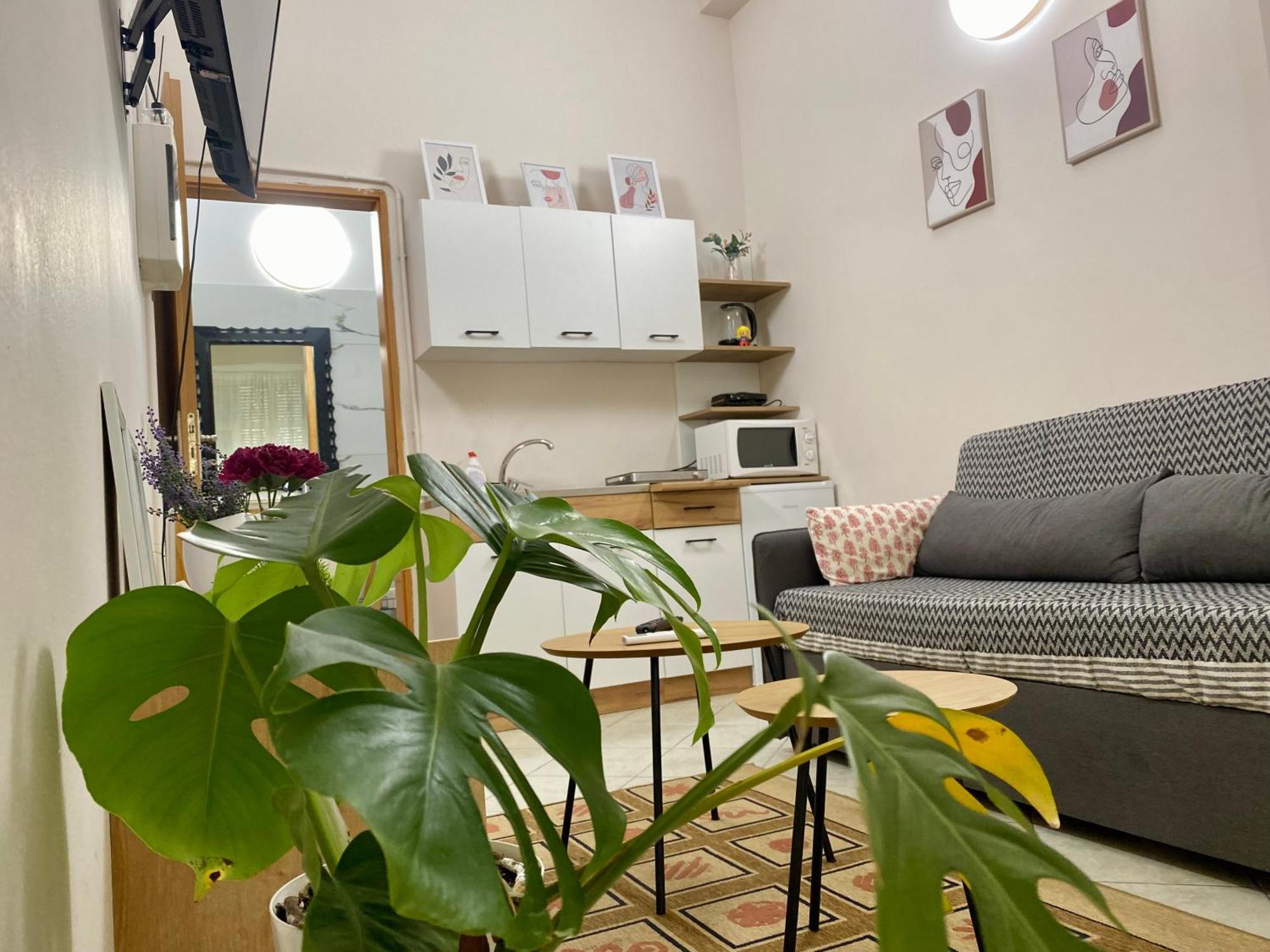 Dori'S Wilson Studio At Blloku Neighborhood تيرانا المظهر الخارجي الصورة